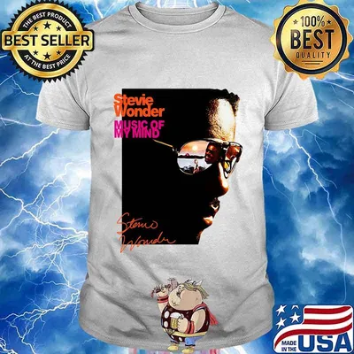 Stevie wonder music of my kind shirt
