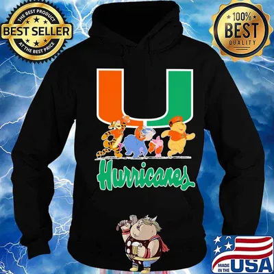 The mini adventures of winnie the pooh hurricanes s Hoodie