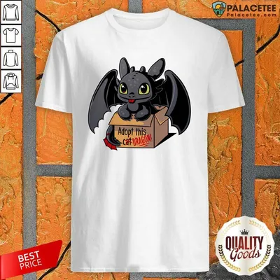 Nice Adopt This Dragon Shirt